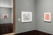 Installation view of "Without Limits: Helen Frankenthaler, Abstraction, and the Language of Pri…