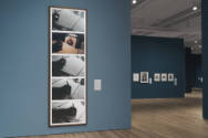 Installation view of "After Michelangelo, Past Picasso: Leo Steinberg’s Library of Prints," Bla…