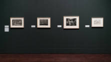 Installation view of "The Artist at Work," Blanton Museum of Art, The University of Texas at Au…