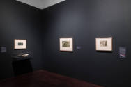 Installation view of "Ideas in Sensuous Form: The international Symbolist Movement," Blanton Mu…