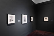 Installation view of "Ideas in Sensuous Form: The international Symbolist Movement," Blanton Mu…