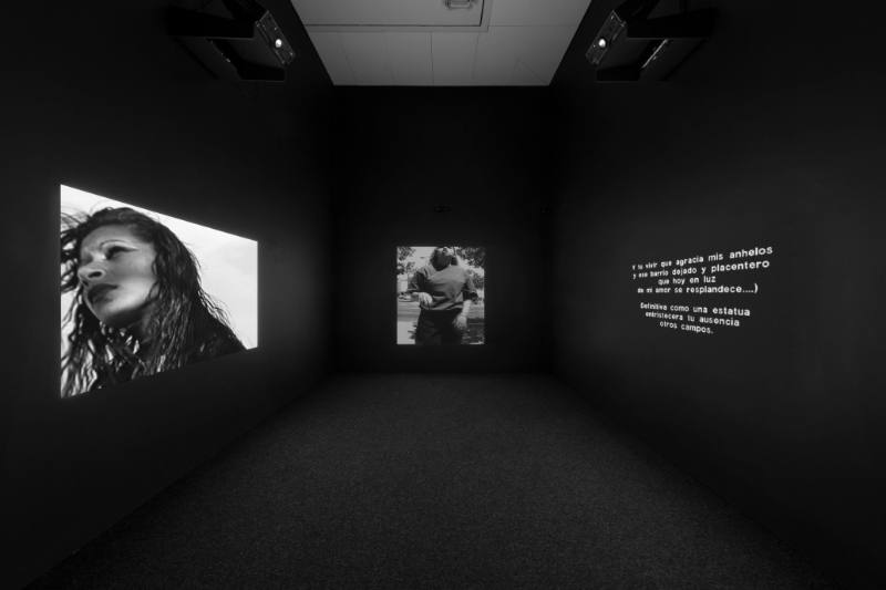 Installation view of "James Drake: Tongue-Cut Sparrows," Blanton Museum of Art, The University …