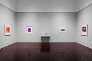 Installation view of "Line Form Color," Blanton Museum of Art, The University of Texas at Austi…