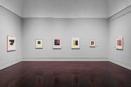 Installation view of "Line Form Color," Blanton Museum of Art, The University of Texas at Austi…