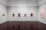 Installation view of "Line Form Color," Blanton Museum of Art, The University of Texas at Austi…