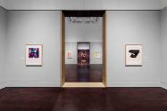 Installation view of "Line Form Color," Blanton Museum of Art, The University of Texas at Austi…