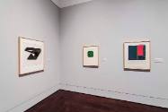 Installation view of "Line Form Color," Blanton Museum of Art, The University of Texas at Austi…