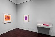 Installation view of "Line Form Color," Blanton Museum of Art, The University of Texas at Austi…