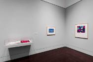 Installation view of "Line Form Color," Blanton Museum of Art, The University of Texas at Austi…