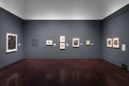 Installation view of "Dancing with Death," Blanton Museum of Art, The University of Texas at Au…