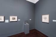 Installation view of "Dancing with Death," Blanton Museum of Art, The University of Texas at Au…