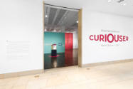 Installation view of "Nina Katchadourian: Curiouser," Blanton Museum of Art, The University of …