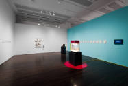 Installation view of "Nina Katchadourian: Curiouser," Blanton Museum of Art, The University of …