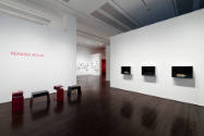 Installation view of "Nina Katchadourian: Curiouser," Blanton Museum of Art, The University of …