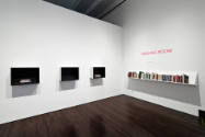 Installation view of "Nina Katchadourian: Curiouser," Blanton Museum of Art, The University of …