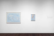 Installation view of "Nina Katchadourian: Curiouser," Blanton Museum of Art, The University of …