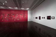 Installation view of "Nina Katchadourian: Curiouser," Blanton Museum of Art, The University of …