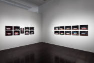 Installation view of "Nina Katchadourian: Curiouser," Blanton Museum of Art, The University of …