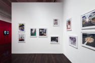 Installation view of "Nina Katchadourian: Curiouser," Blanton Museum of Art, The University of …