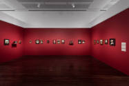 Installation view of "Nina Katchadourian: Curiouser," Blanton Museum of Art, The University of …