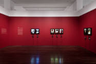 Installation view of "Nina Katchadourian: Curiouser," Blanton Museum of Art, The University of …