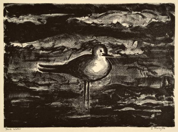 Dark Water
