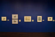 Installation view of "In the Company of Cats and Dogs," Blanton Museum of Art, The University o…