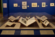 Installation view of "In the Company of Cats and Dogs," Blanton Museum of Art, The University o…