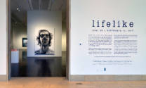 Installation view of "Lifelike," Blanton Museum of Art, The University of Texas at Austin, June…