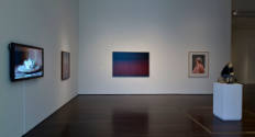 Installation view of "Lifelike," Blanton Museum of Art, The University of Texas at Austin, June…