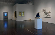 Installation view of "Lifelike," Blanton Museum of Art, The University of Texas at Austin, June…