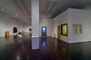 Installation view of "Lifelike," Blanton Museum of Art, The University of Texas at Austin, June…