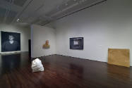 Installation view of "Lifelike," Blanton Museum of Art, The University of Texas at Austin, June…