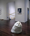 Installation view of "Lifelike," Blanton Museum of Art, The University of Texas at Austin, June…