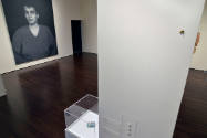 Installation view of "Lifelike," Blanton Museum of Art, The University of Texas at Austin, June…