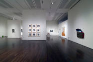 Installation view of "Lifelike," Blanton Museum of Art, The University of Texas at Austin, June…