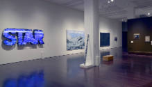 Installation view of "Through the Eyes of Texas: Masterworks from Alumni Collections," Blanton …