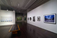 Installation view of "Through the Eyes of Texas: Masterworks from Alumni Collections," Blanton …