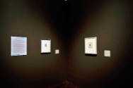 Installation view of "About Face: Portraiture as Subject" at the Blanton Museum of Art, 2011.