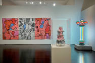 Installation view of the "Recovering Beauty: The 1990s in Buenos Aires" at the Blanton Museum o…