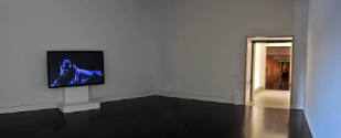 Installation view of the "Robert Wilson: Video Portraits" at the Blanton Museum of Art, 2011.