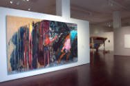 Installation view of the "New Works for the Collection" at the Blanton Museum of Art, 2010.