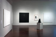 Installation view of the "New Works for the Collection" at the Blanton Museum of Art, 2010.