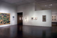 Installation view of the "New Works for the Collection" at the Blanton Museum of Art, 2010.