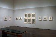 Installation view of the "New Works for the Collection" at the Blanton Museum of Art, 2010.