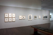 Installation view of the "New Works for the Collection" at the Blanton Museum of Art, 2010.