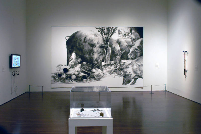 Installation view of the "New Works for the Collection" at the Blanton Museum of Art, 2010.