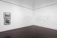 Installation view of "Austin Collects Contemporary: Selections from the Blanton's Recent Gift f…