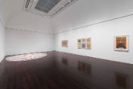 Installation view of "Austin Collects Contemporary: Selections from the Blanton's Recent Gift f…