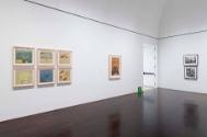 Installation view of "Austin Collects Contemporary: Selections from the Blanton's Recent Gift f…